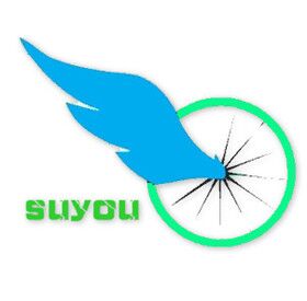 ���ݳ���ȩ