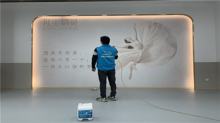 广州除甲醛公司